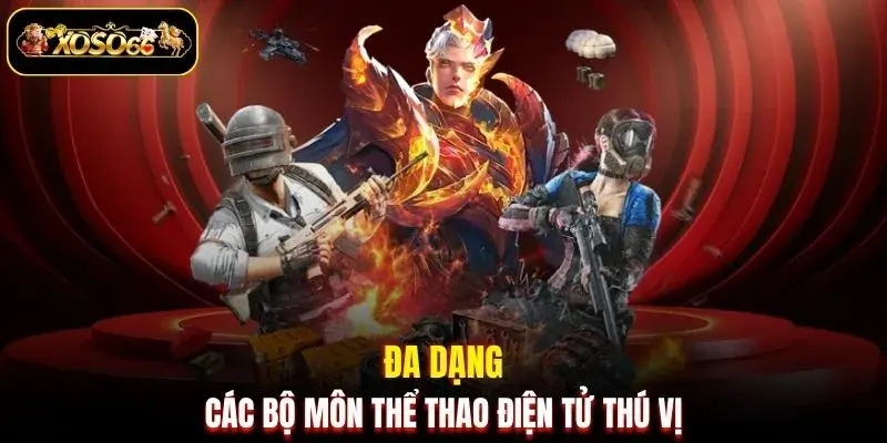Đa dạng các bộ môn thể thao điện tử thú vị