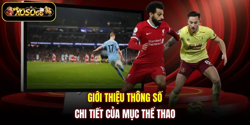 gioi thieu thong so chi tiet cua muc the thao Giới thiệu thông số chi tiết của mục thể thao