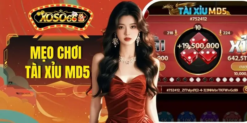 Mẹo Chơi Tài Xỉu MD5