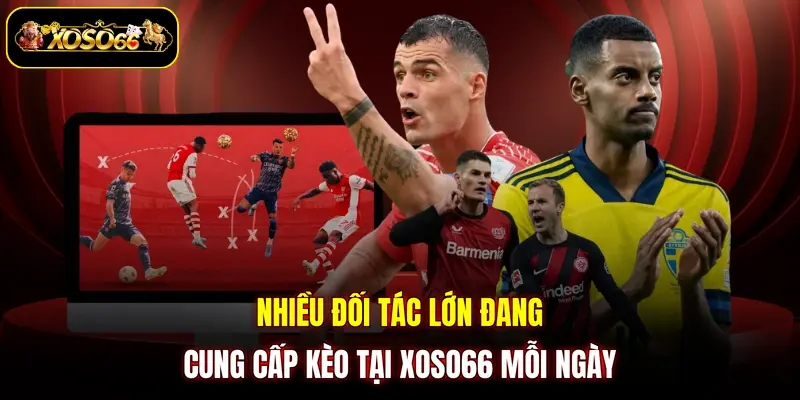 nhieu doi tac lon dang cung cap keo tai xoso66 moi ngay Nhiều đối tác lớn đang cung cấp kèo tại XOSO66 mỗi ngày