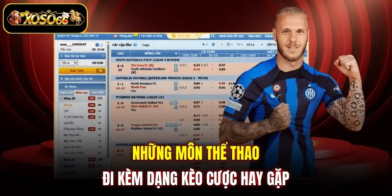 nhung mon the thao di kem dang keo cuoc hay gap Những môn thể thao đi kèm dạng kèo cược hay gặp